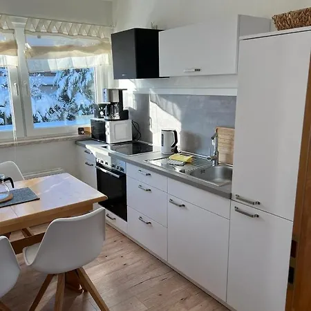 Apartment Urlaubshaus-braunlage Wg 4